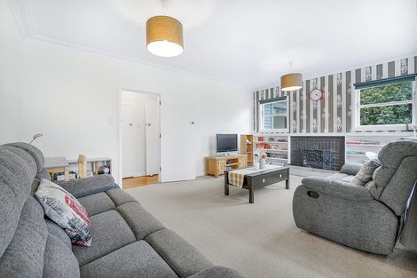 Photo of property in 51 Sillary Street, Hamilton East, Hamilton, 3216