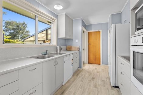 Photo of property in 87 Eton Street, Hampstead, Ashburton, 7700