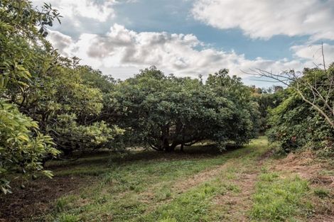 Photo of property in 470a Upper Ohauiti Road, Ohauiti, Tauranga, 3173