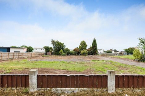 Photo of property in 94 Botanical Road, Takaro, Palmerston North, 4412