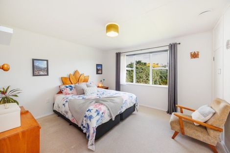 Photo of property in 29 Elizabeth Street, Feilding, 4702