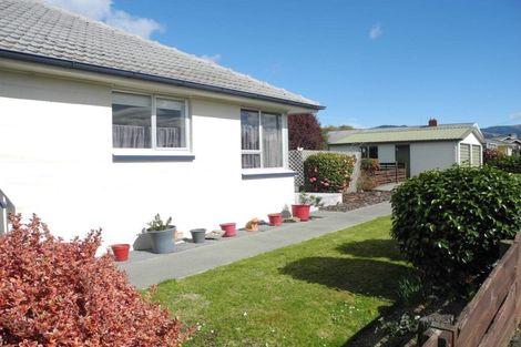 Photo of property in 46 Opie Street, Waimate, 7924