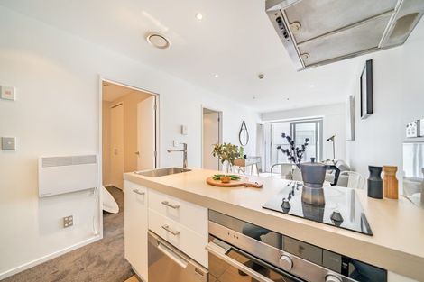 Photo of property in Soho Apartments, 313/74 Taranaki Street, Te Aro, Wellington, 6011