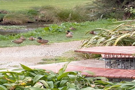 Photo of property in 44 Saint Ronans Avenue, Waterloo, Lower Hutt, 5011