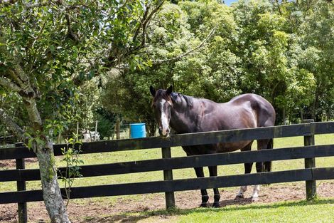 Photo of property in 132 Motu Road, Kumeu, 0891