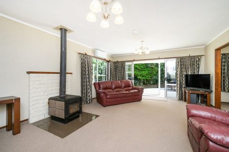 Photo of property in 9 Rangeview Place, Feilding, 4702