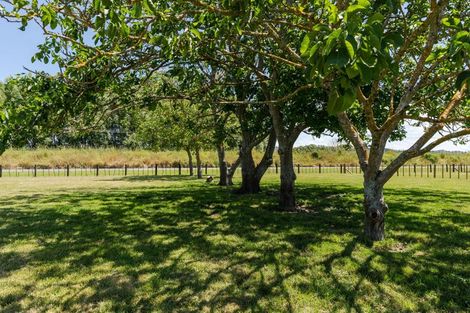 Photo of property in 1156 Matawai Road, Ormond, 4071