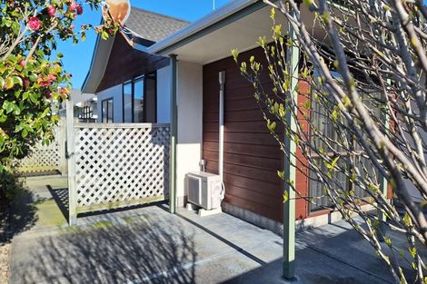 Photo of property in 3 Macalister Place, Miramar, Wellington, 6022