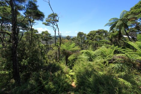 Photo of property in 945 Te Papatapu Road, Raglan, Te Mata, 3894