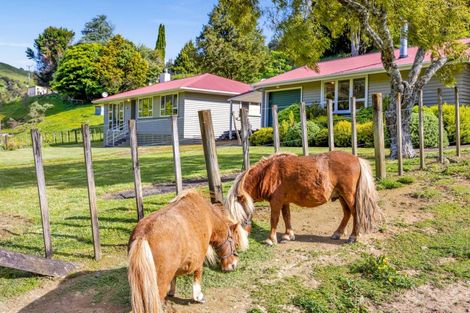 Photo of property in 48a-b Whangamomona Road, Whangamomona, Stratford, 4396