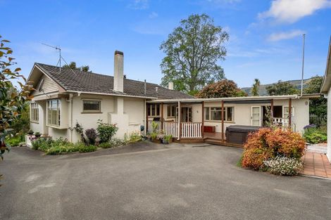 Photo of property in 23 Dorset Street, Richmond, 7020