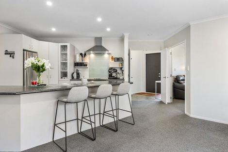 Photo of property in 47 Factory Road, Belfast, Christchurch, 8051