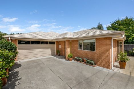 Photo of property in 11 Ward Street, Springlands, Blenheim, 7201