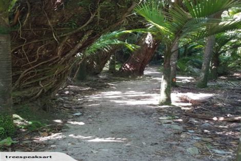 Photo of property in 242 Arapito Road, Karamea, 7893