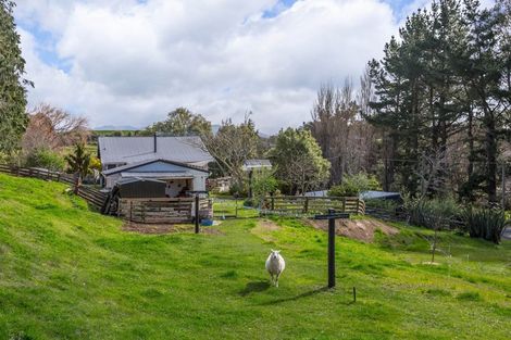 Photo of property in 40 Norsewood Ormondville Road, Norsewood, 4974