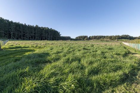 Photo of property in 11 Carex Grove, Foxton Beach, Foxton, 4815