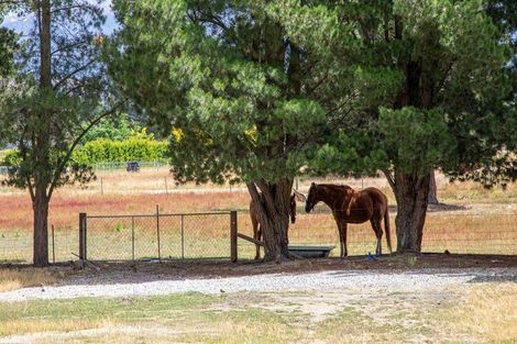 Photo of property in 149 Dunstan Road, Alexandra, 9391