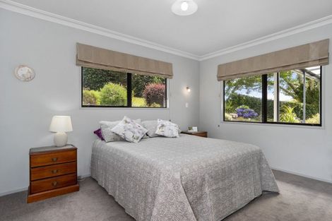 Photo of property in 221 Plummers Point Road, Whakamarama, Tauranga, 3172