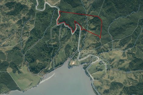 Photo of property in 945 Te Papatapu Road, Raglan, Te Mata, 3894