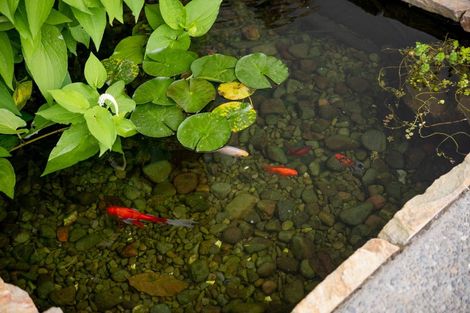 Photo of property in 46 Saint Pauls Drive, Brookfield, Tauranga, 3110