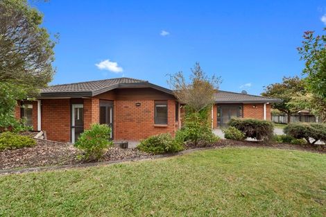 Photo of property in 263 Grandview Road, Western Heights, Hamilton, 3200