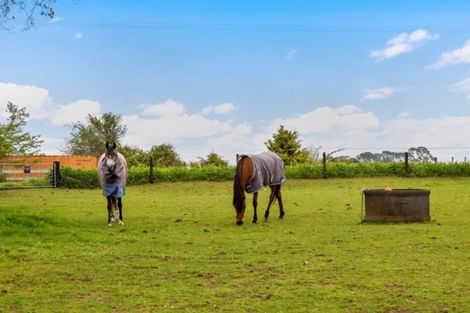 Photo of property in 389 Hursthouse Road, Tarurutangi, Inglewood, 4389