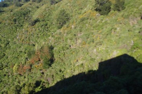 Photo of property in 11 Cooks Ridge, Waikawa, Picton, 7220