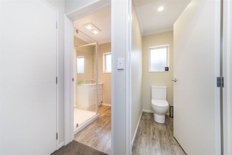 Photo of property in 137 Oxford Street, Ashhurst, 4810