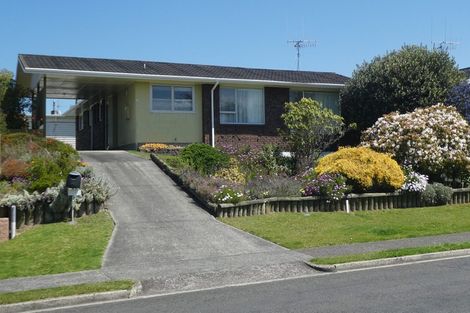 Photo of property in 145 Cameron Road, Te Puke, 3119