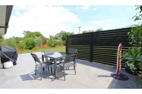 Photo of property in 14 Mcisaac Place, Renwick, 7204