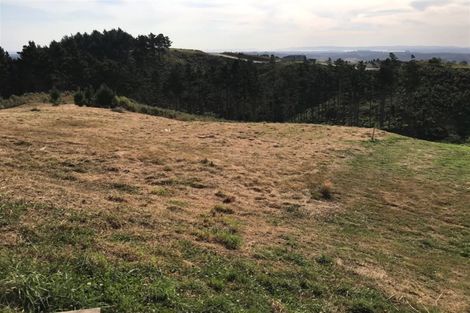 Photo of property in 167 Solway Road, Whitford, Manurewa, 2576