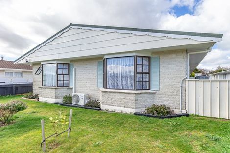 Photo of property in 102 Winchester Street, Levin, 5510