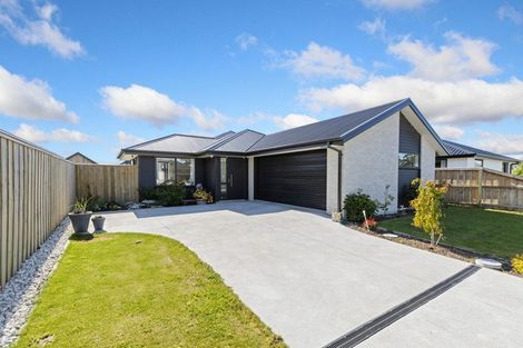 Photo of property in 25 Grimwood Street, Woodend, 7610