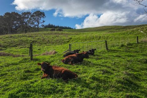 Photo of property in 487 Kanohi Road, Kaukapakapa, 0873