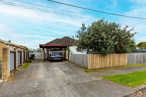 Photo of property in 19 Mason Avenue, Maraenui, Napier, 4110