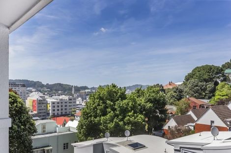Photo of property in Fernhill Flats, 9/324 The Terrace, Te Aro, Wellington, 6011