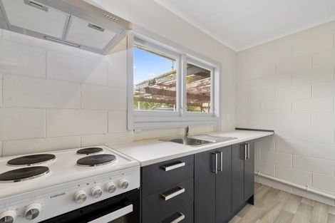 Photo of property in 20 King Street, Victoria, Rotorua, 3010