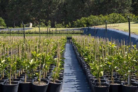 Photo of property in 67 Busby Road, Katikati, 3170