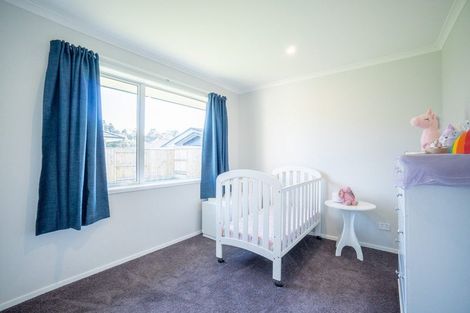 Photo of property in 4 Middleton Way, Ashhurst, 4810