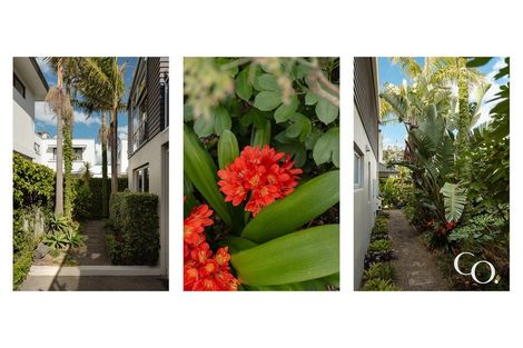 Photo of property in 72b Muricata Avenue, Mount Maunganui, 3116