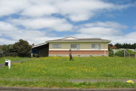 Photo of property in 6 Frank Hewitt Street, Pukekohe, 2120