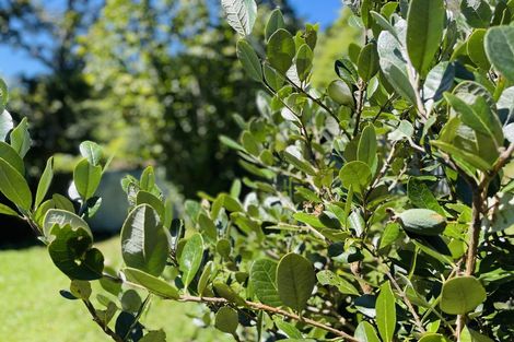 Photo of property in 89 Taylor Terrace, Tawa, Wellington, 5028