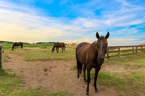 Photo of property in 73 Robertson Road, Otaua, Waiuku, 2682