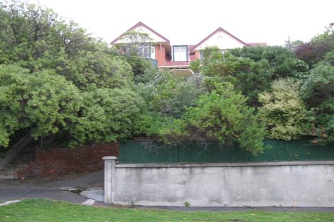 Photo of property in 100 Norfolk Street, Saint Clair, Dunedin, 9012