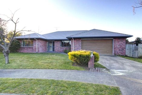 Photo of property in 19 Page Street, Redwoodtown, Blenheim, 7201