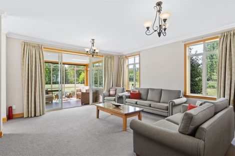 Photo of property in 704 Hills Road, Marshland, Christchurch, 8051