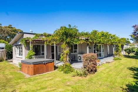 Photo of property in 58 Leefield Street, Blenheim, 7201