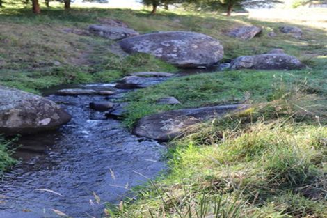 Photo of property in 445 Luck At Last Road, Maungatautari, Cambridge, 3494