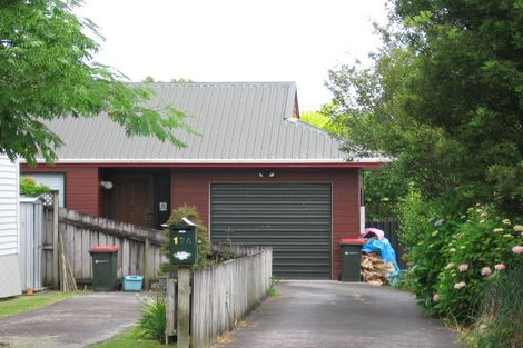 Photo of property in 17 Miller Street, Point Chevalier, Auckland, 1022