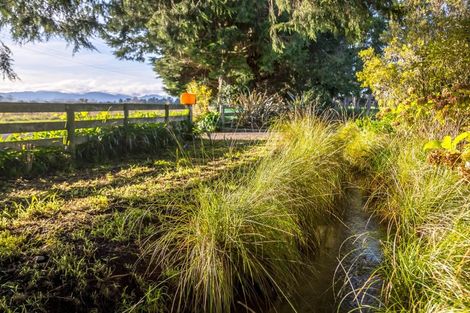 Photo of property in 127 Bidwills Cutting Road, Morrisons Bush, Greytown, 5794